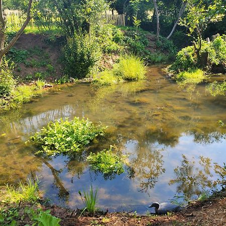 Le Clos Des Sources Isigny-sur-Mer Exteriör bild