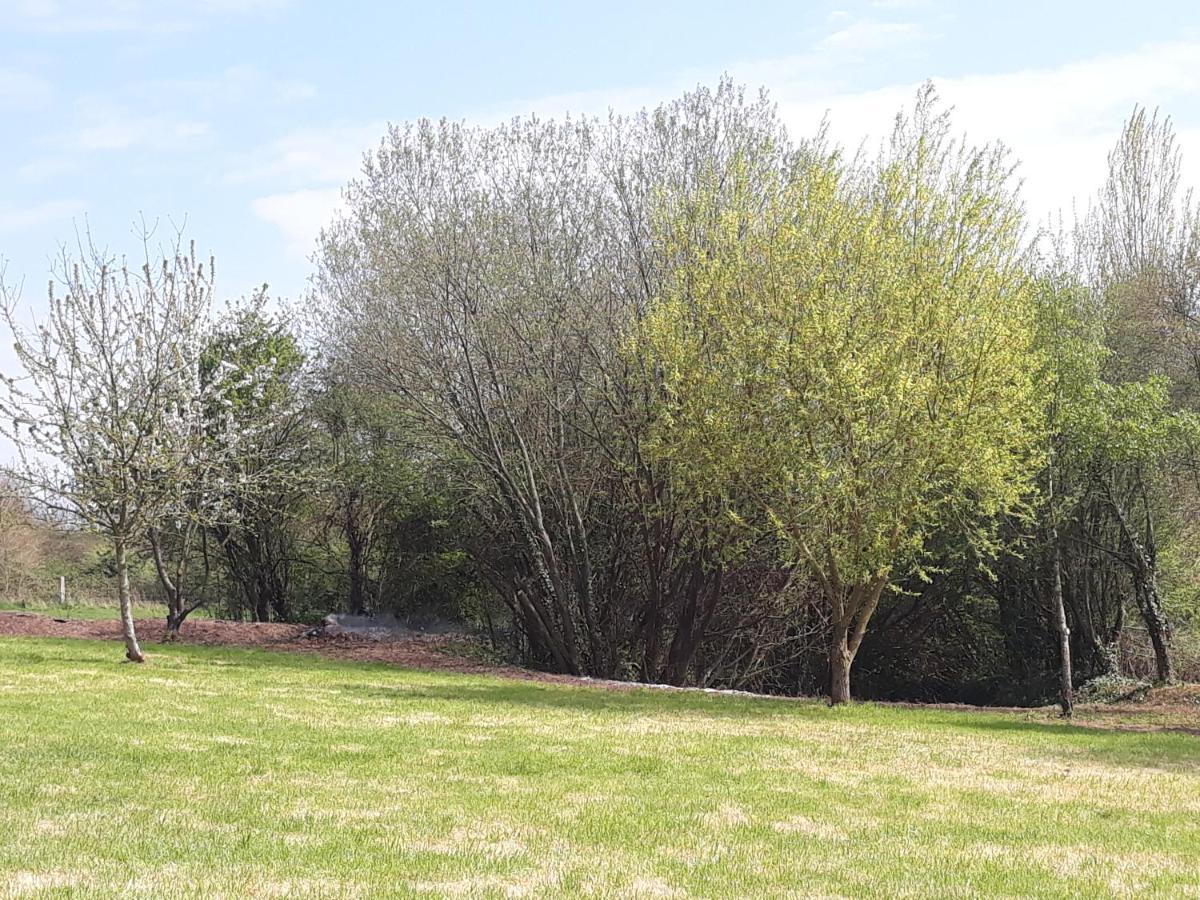Le Clos Des Sources Isigny-sur-Mer Exteriör bild