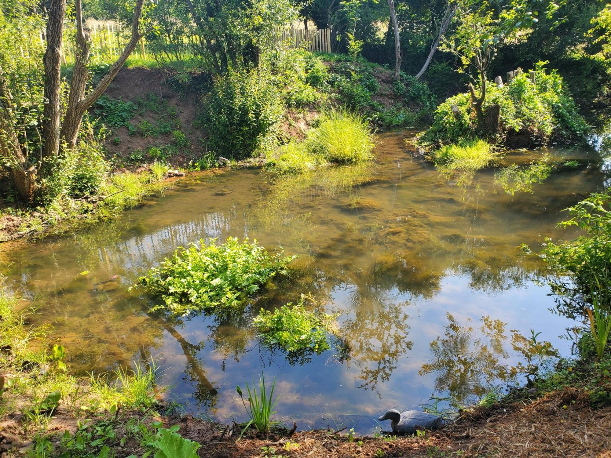 Le Clos Des Sources Isigny-sur-Mer Exteriör bild